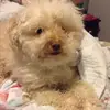 Charlie lacour - @charlie_lt.1414 - TikTok