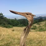 Jc Lacour - @jeancharleslacour - Instagram