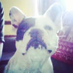 charlie 13 years old - @charles_ladd1 - Instagram