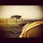 Charles Leach - @townfarmivinghoe - Instagram