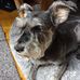 Charles Leach - Facebook
