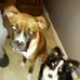 Charles Leeper - Facebook