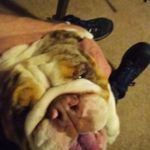 Charles Leeper - @leepercharles5 - Instagram