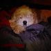 Charles Leeper - Facebook