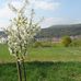 Charles Leininger - Facebook
