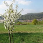 Charles Leininger - Facebook