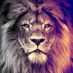 Charles Leitch - @leitchcharles - Instagram