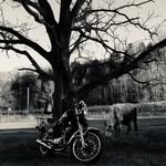 Charles Lemley - @chopemcharlie - Instagram