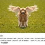 Charles Leslie - @charles.leslie.9889 - Instagram