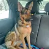 Charles Letts - @charles.letts - TikTok