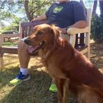 Charles Levine - @charleslevine109070 - Instagram