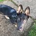Charles Lightfoot - Facebook