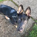 Charles Lightfoot - @charleslightfoot4703 - Instagram