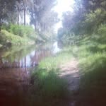 Charles Ligon - @migitamerios - Instagram
