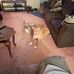 Charles Locke - Facebook