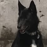 Charles Lomas - @cplomas - Instagram