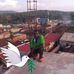 Charles Makokha - Facebook