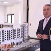 Charles Marcus - @charlesmarcuscrypto - TikTok