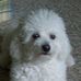 Charles Marentette - Facebook