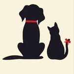 CHARLES MARVIN | LUA | MEL ® - @cmlm_pets - Instagram