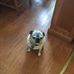 Charles Matassa - Facebook