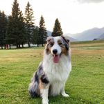 Charles Matchett - @charlesmatchett - Instagram