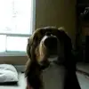 Charles Matchett - @charles.matchett - TikTok