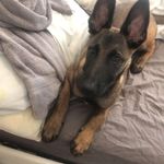 Charlie McCarron - @mccarron4905 - Instagram