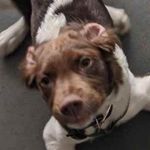 Dr. Charles McCool - @y.o.u.n.g_chuck - Instagram