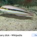 Charles McMinn - Facebook