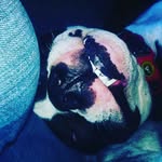 Charles Kelley and Amii McTeer - @charles_and_amii - Instagram
