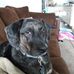 Chuck Meagher - Facebook