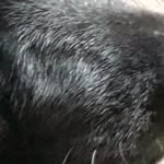 Charles Messier - @charles_messier1730_ - Instagram