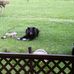 Charles Morehead - Facebook