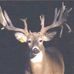 Chuck Morehead - Facebook