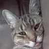 Charles Morey - @30258546193 - TikTok