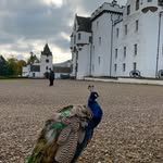 Charles Morgan - @thecturtle - Instagram