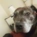 Charlie Morley - Facebook