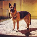 Charlette Mumpower - @charlettemumpower - Instagram