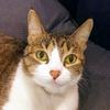 charles_h_muncy - @charles_h_muncy - TikTok
