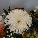 Charles Muncy - @charles.muncy.1650 - Instagram