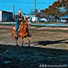 Charles🦆🐎🐎 - @charlesmurley391 - TikTok