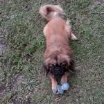 Charles Myrick - @charlesmyrick602 - Instagram