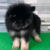 charles nalla - @charles.nalla6 - TikTok