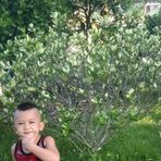 Charles Nathan - Facebook