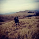 Charles - @charles_nicklin - Instagram