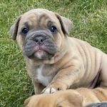 Charlie Nylander - @charlie_nyl182904 - Instagram