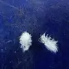 charlesobiora799 - @charlesobiora799 - TikTok