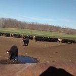 Charles Olson - @charlesolson9476 - Instagram