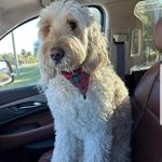 charles parton - @cha.rles4848 - Instagram